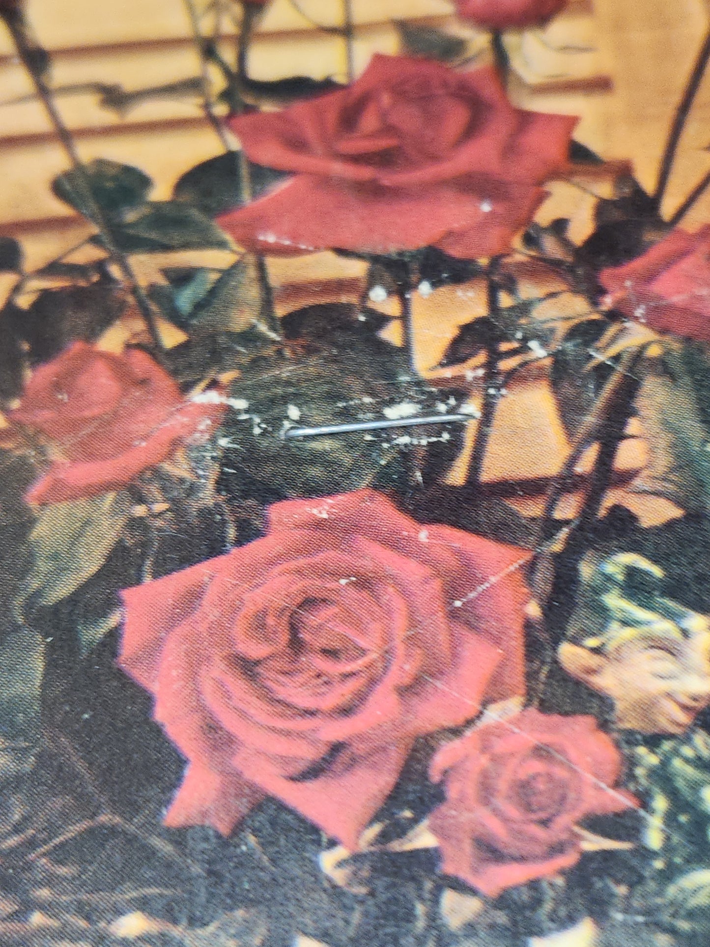 Vintage Advertising Fans Set of 3 Steele Funeral Home Nebraska Norcraft Inc. Cincinnati Ohio fan5