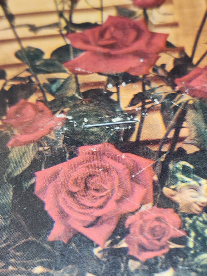 Vintage Advertising Fans Set of 3 Steele Funeral Home Nebraska Norcraft Inc. Cincinnati Ohio fan5