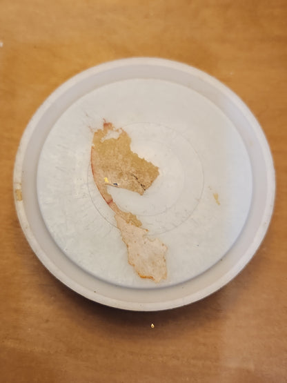 Vintage Floral Frog With Metal Pins and Plastic Base ff65