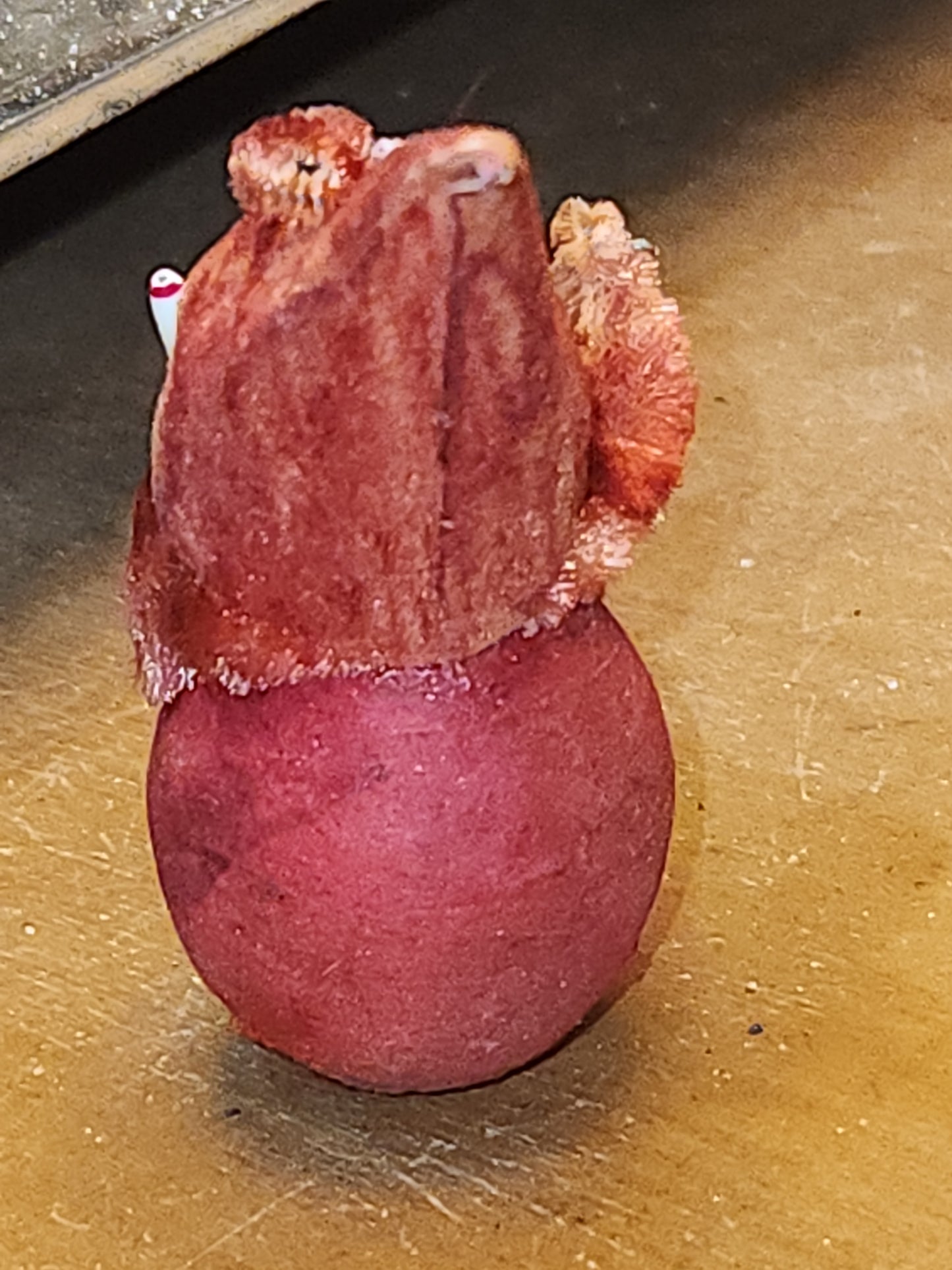 Vintage elf Gnome Santa Spun Cotton Holding Candle Japan AS IS elf67