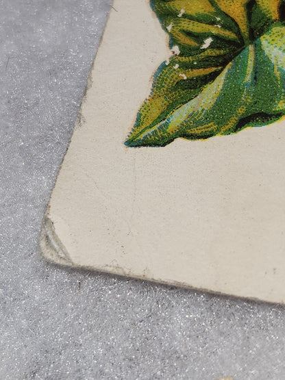 Antique Christmas Postcard Heaty Greetings with Sailboats and Life Preserver 1910 not mailed pc66