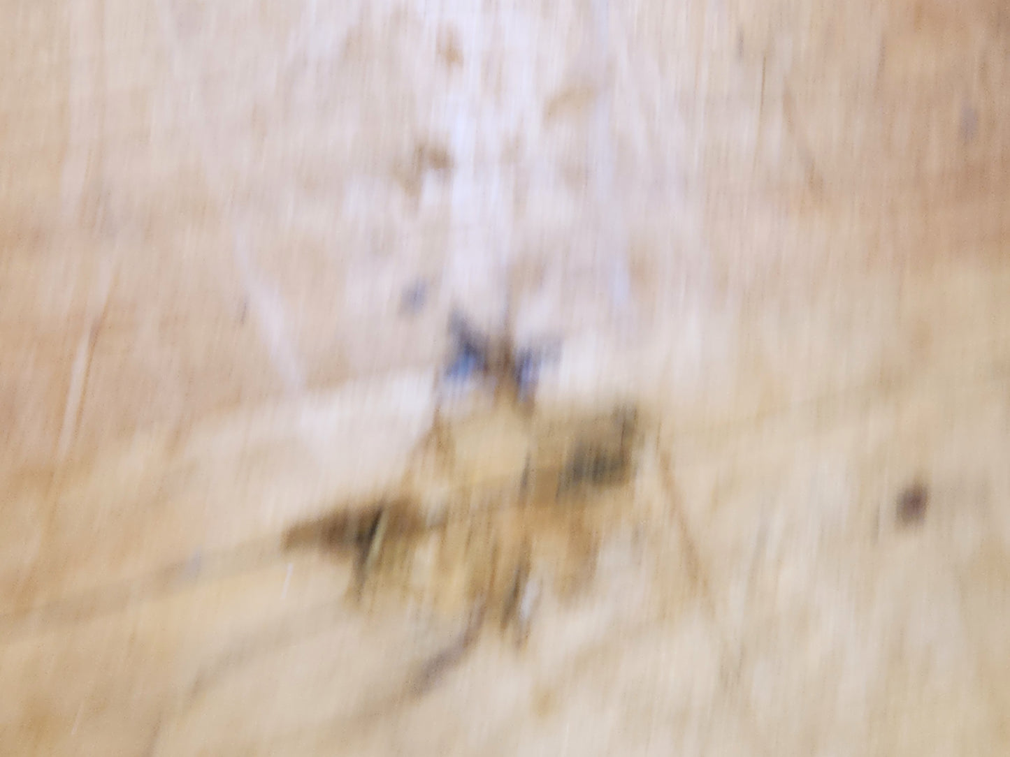 Antique Wooden lid for barrel, crate or wooden container