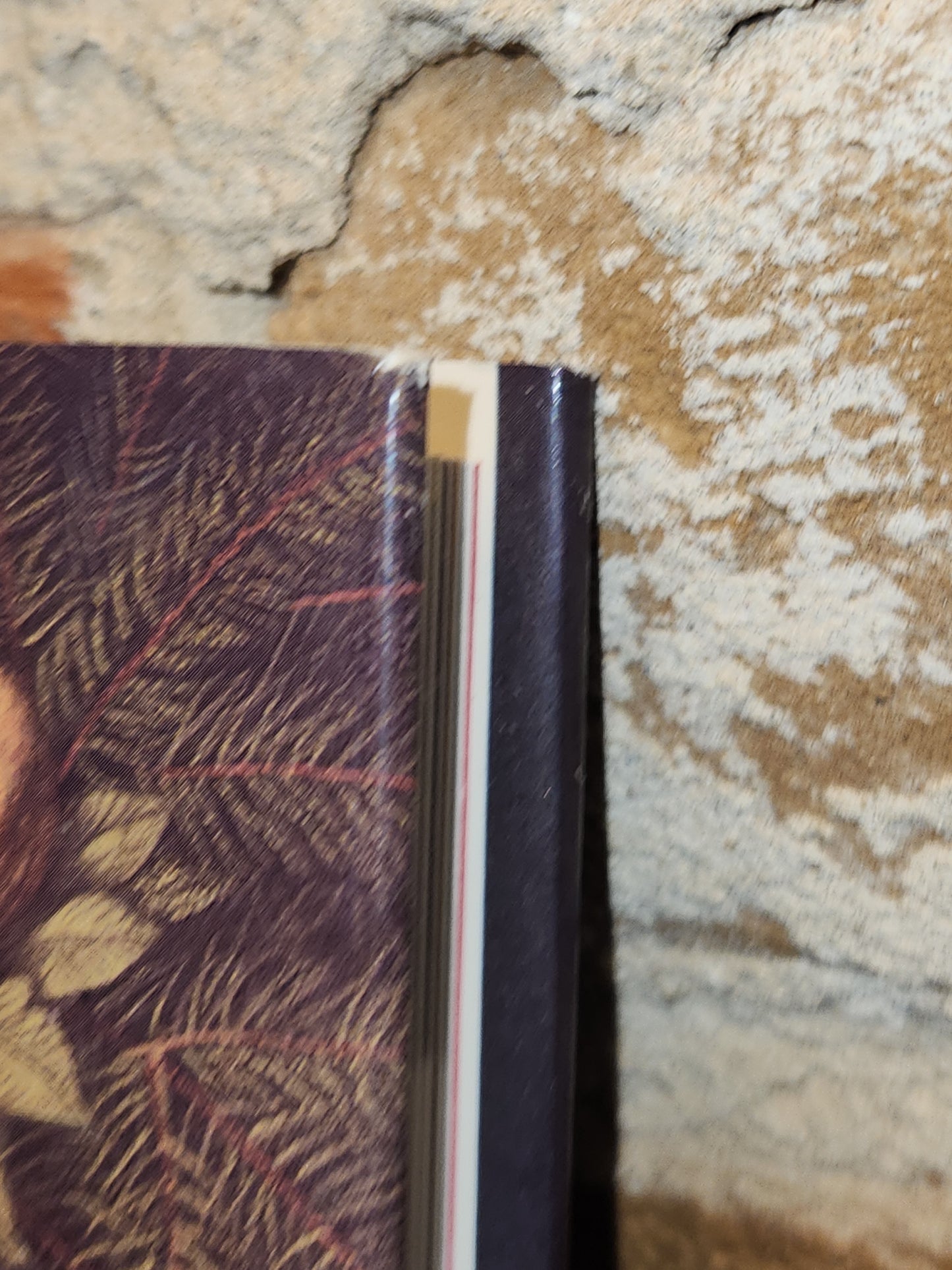 Vintage Book Joy to the World A Family Christmas Treasury by Ann Keay Beneduce Illustrated by Gennady Spirin bk07