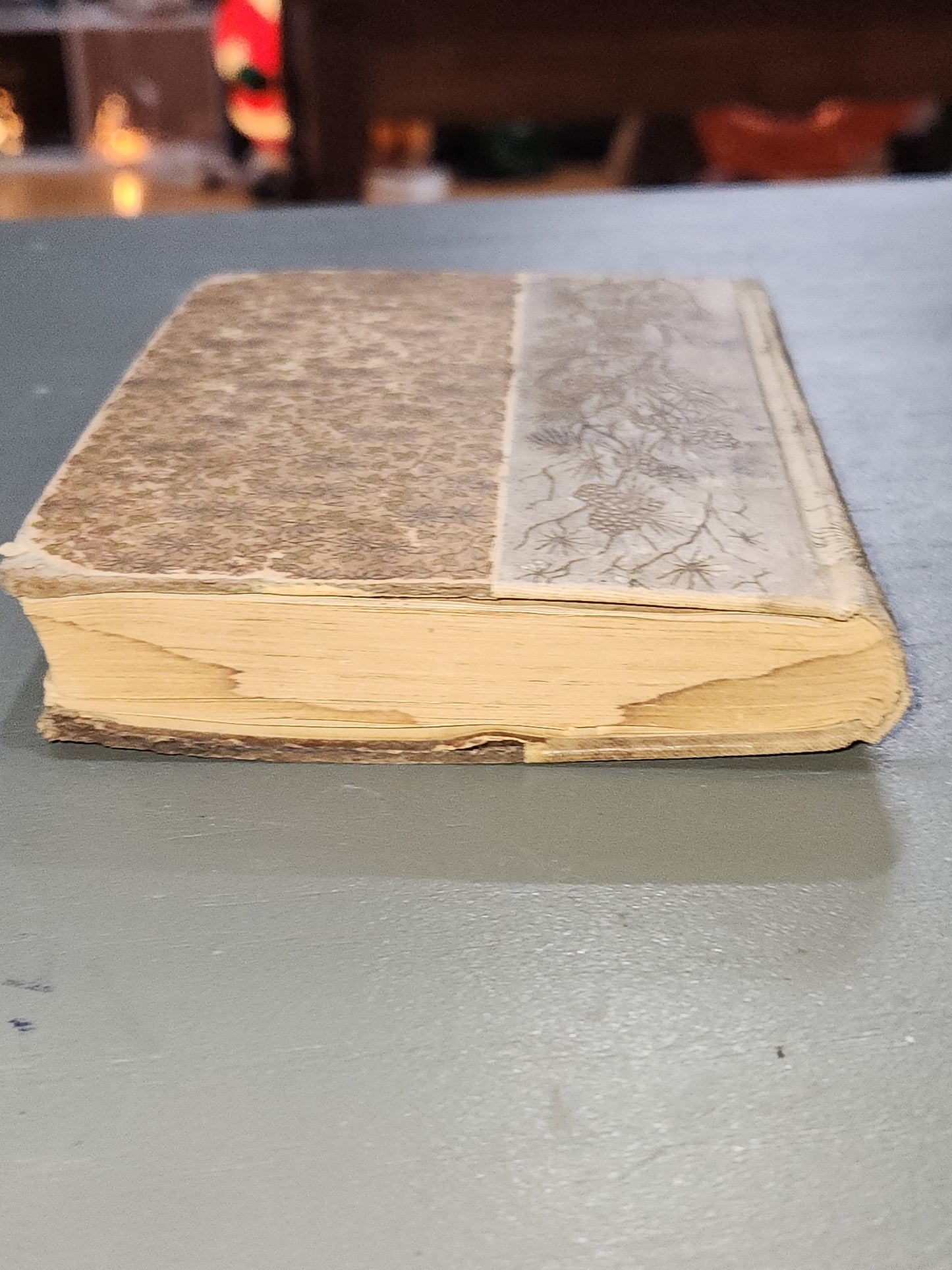 Antique Book A Selection From The Discourses of Epictetus with the Encheuridion George Long Henry Altemus AS IS bk65