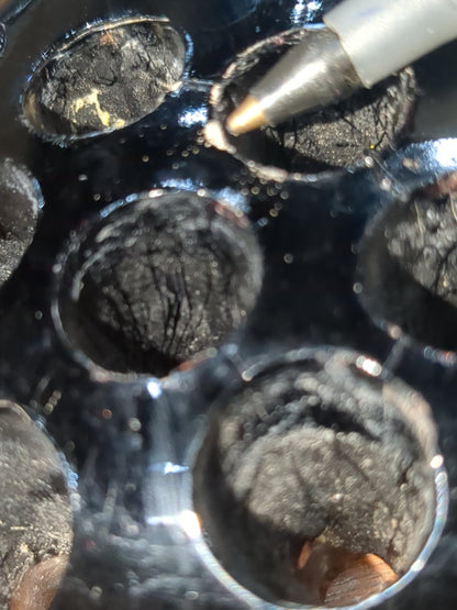 Vintage black flower frog 16 holes g334