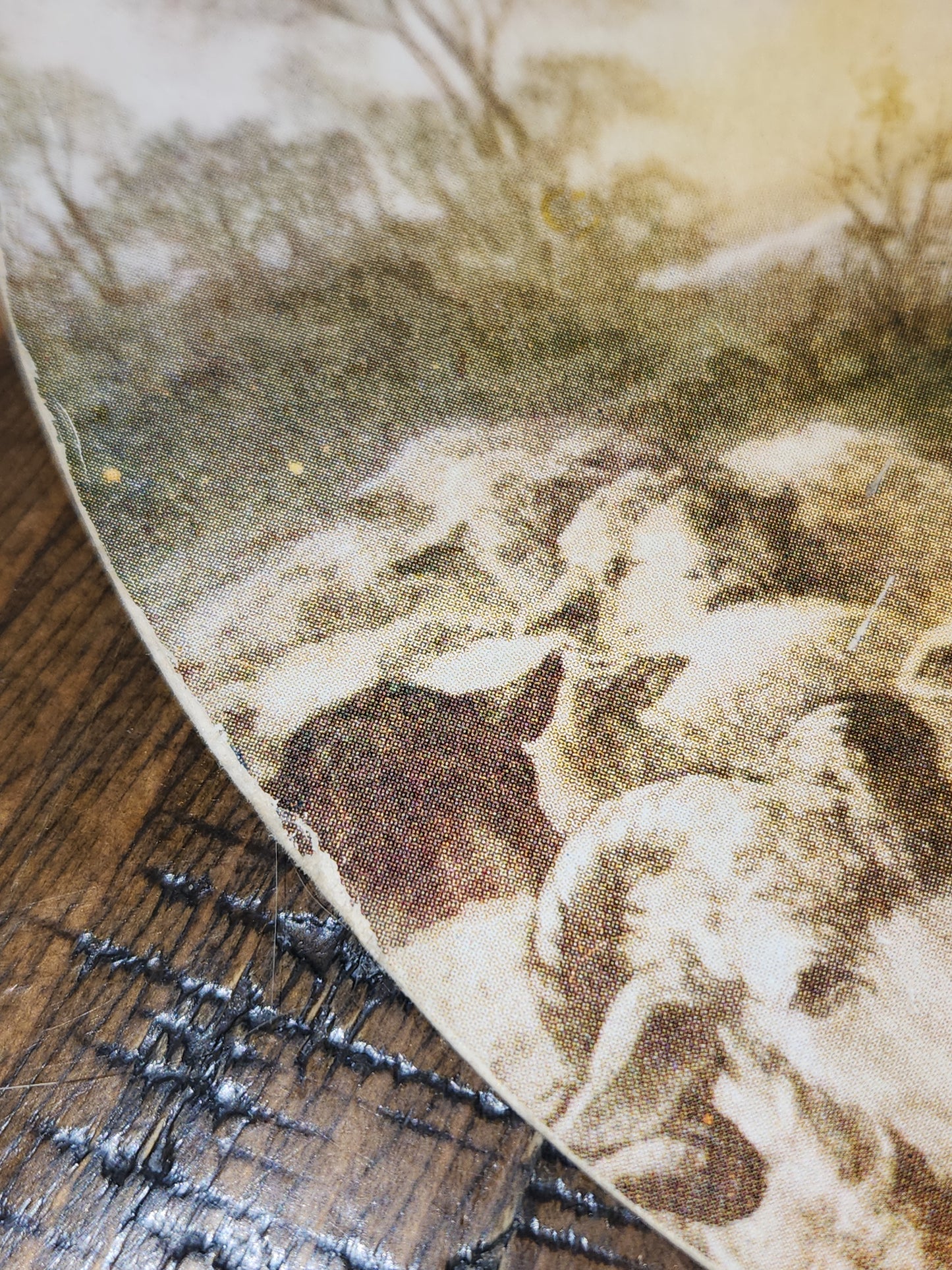 Vintage Advertising Fan Jesus and Lamb Steele Funeral Home Nebraska T.D.M Co. Red Oak Iowa fan8